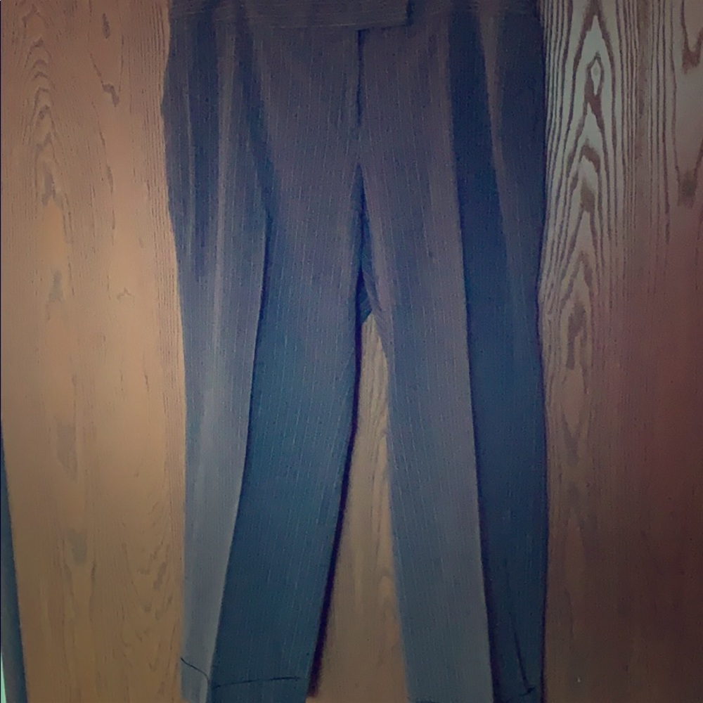 Venezia pinstriped dress pants sz 20p